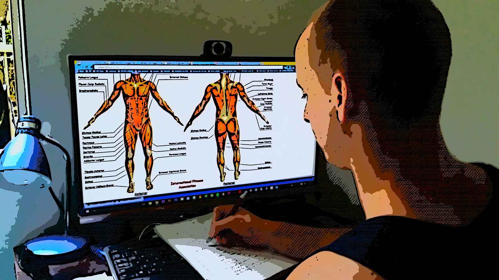 Studying anatomy online