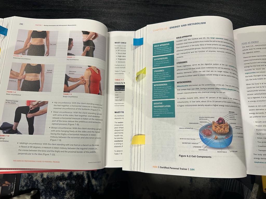 ACE vs ISSA: Which Cert Should You Choose? 39 ISSA and ACE textbooks opened to pages, ISSA shows tape measurements