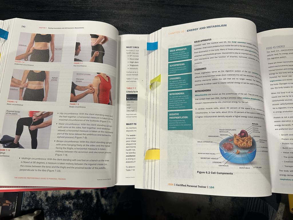 ISSA and ACE textbooks opened to pages, ISSA shows tape measurements