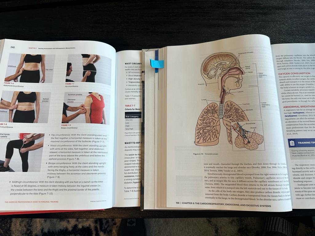 NASM vs ACE textbooks - ACE and NASM textbooks laid out - skin fold measurements for ACE - anatomy of lungs for NASM