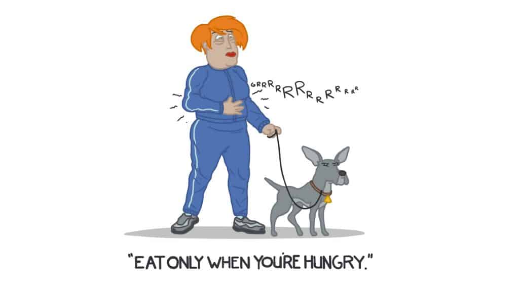 eat only when your hungry