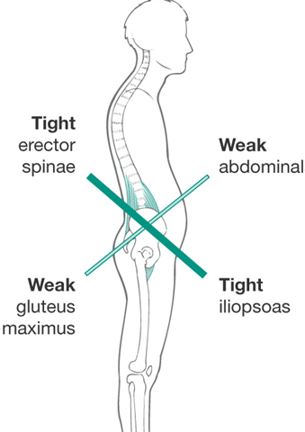 NASM 6th Edition chapter 6 - Fitness Assessment 9