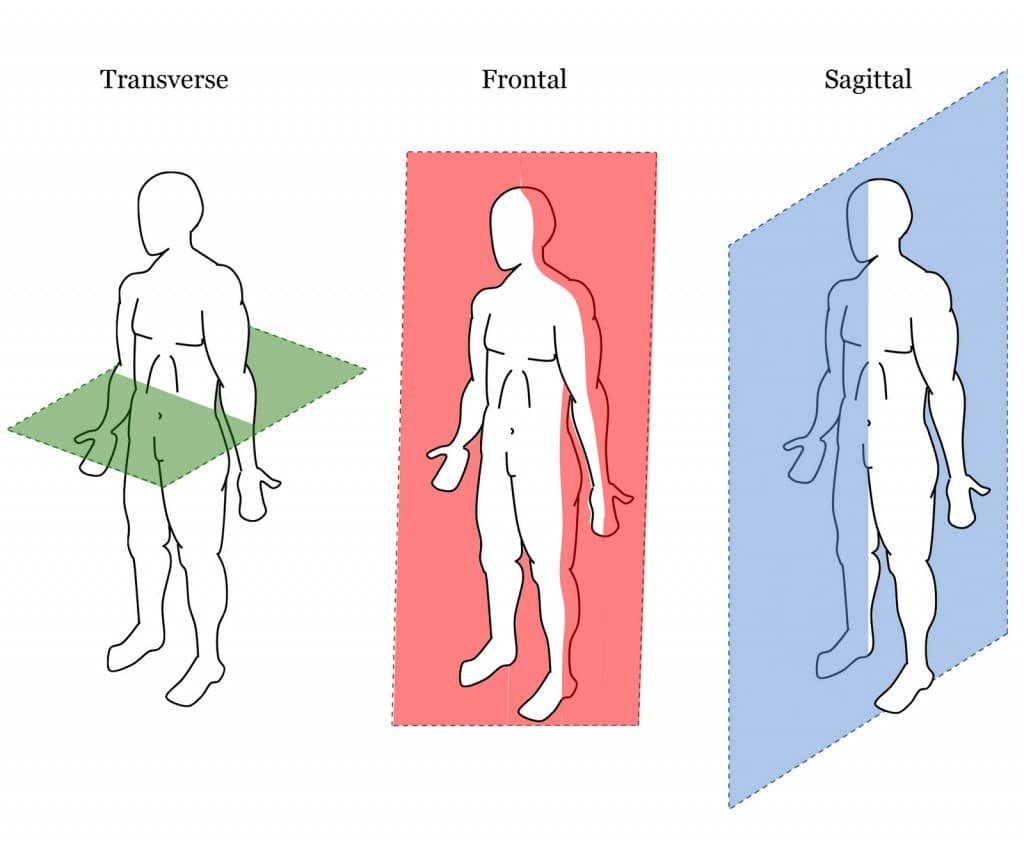 NASM 6th Edition chapter 5 - Human Movement Science 7