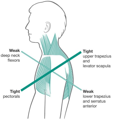 NASM 6th Edition chapter 6 - Fitness Assessment 10