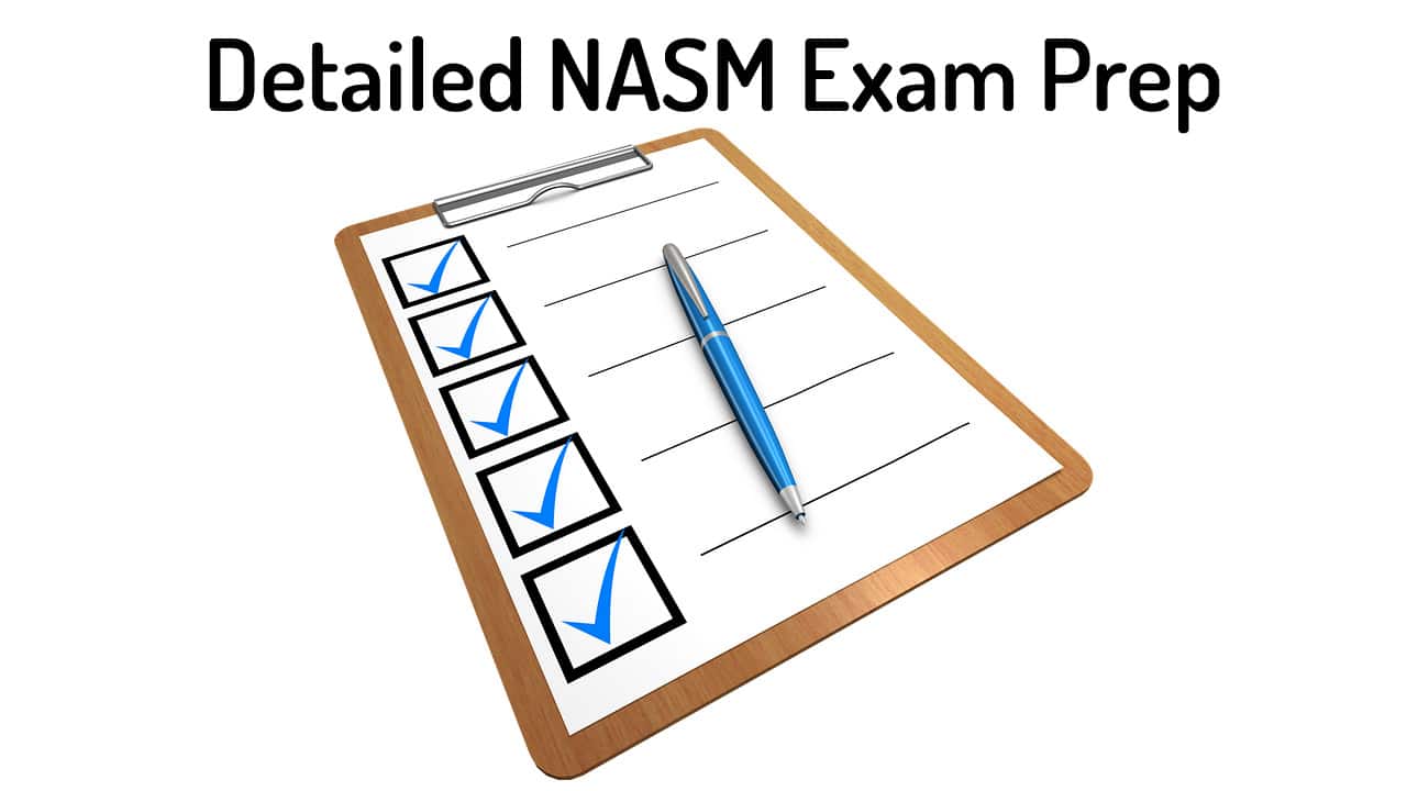 Nasm Muscle Chart