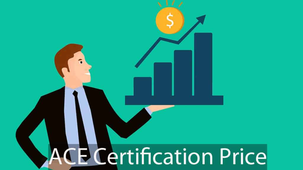 Ace certification price