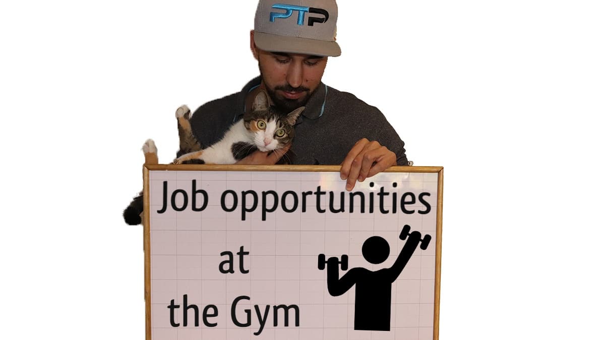 Top 9 Jobs at the Gym The Complete Gym Jobs list for 2024