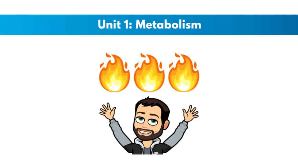 ISSA Unit 1 - Metabolism