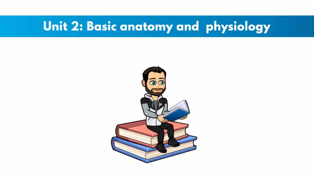 ISSA Unit 2 - Basic anatomy and physiology