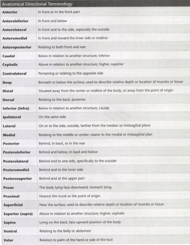 ISSA Unit 3 - Musculoskeletal anatomy and physiology 27