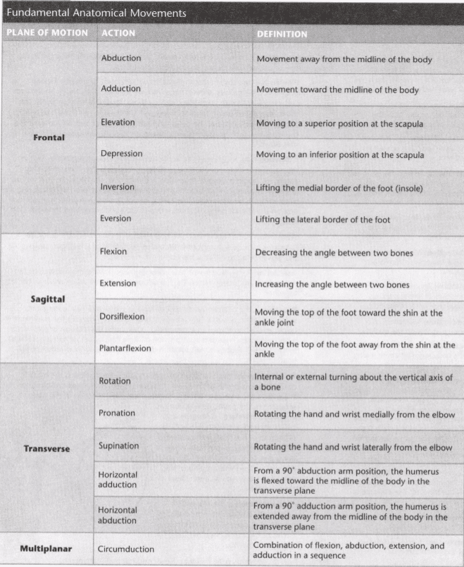 ISSA Unit 4 - Kinesiology of exercise 7