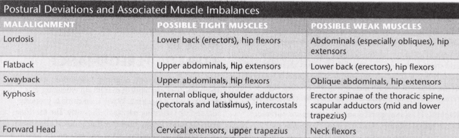 ISSA Unit 6 - Musculoskeletal deviations 8