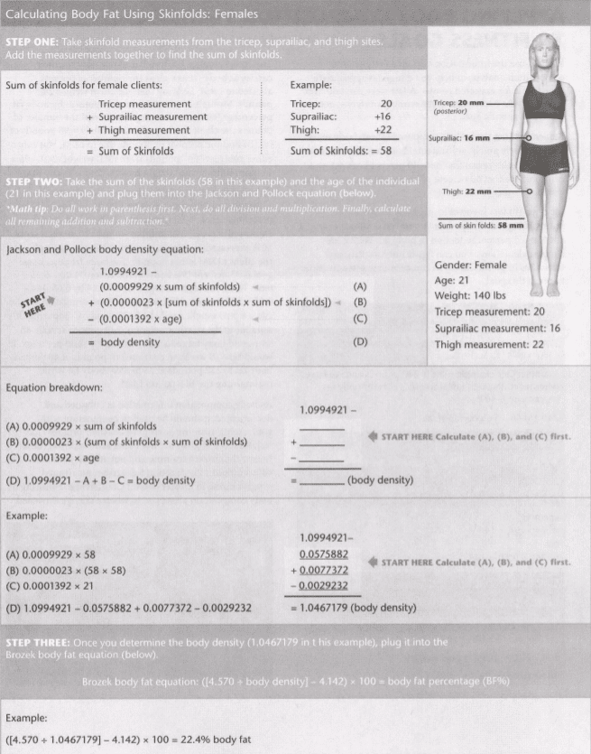 BMI Calculator, How to Calculate Body Mass Index - Expert PT- Personal  Training Online