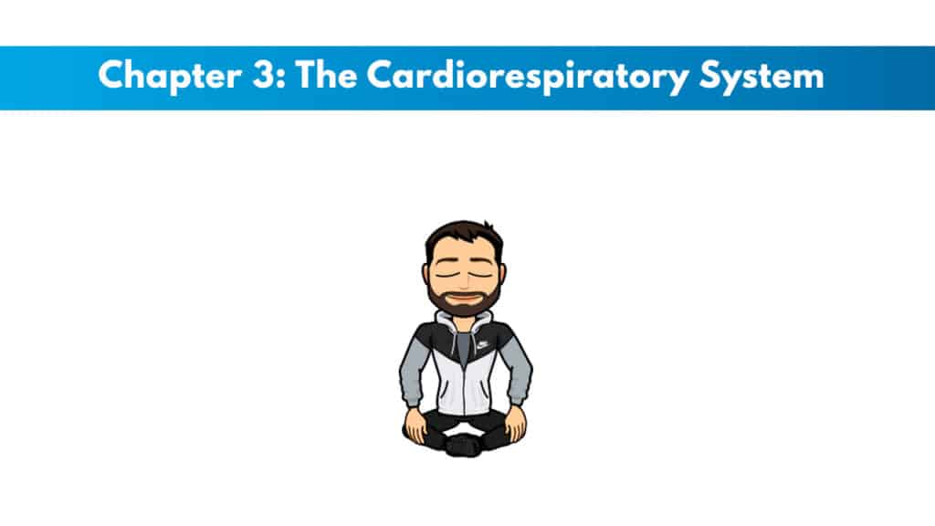 NASM study guide chapter 3