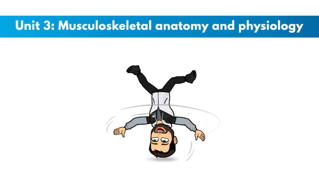 ISSA Unit 3 - Musculoskeletal anatomy and physiology