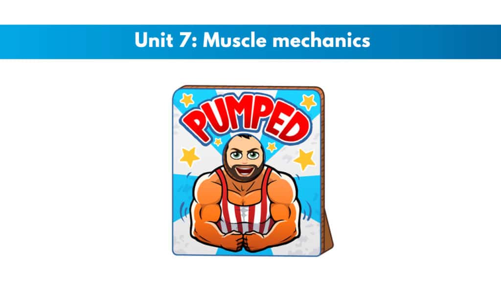 ISSA Unit 7 - Muscle mechanics