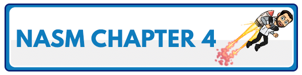 NASM 6th Edition Chapter 3: The cardiorespiratory system 5