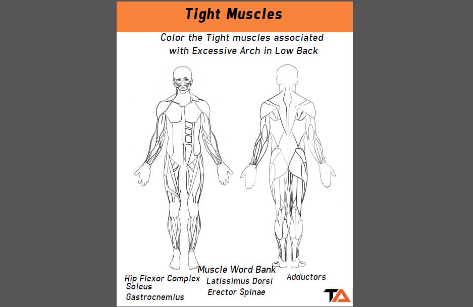 Trainer Academy Review - Personal Trainer Cert Study Materials 42 Trainer Academy Review - Personal Trainer Cert Study Materials 40