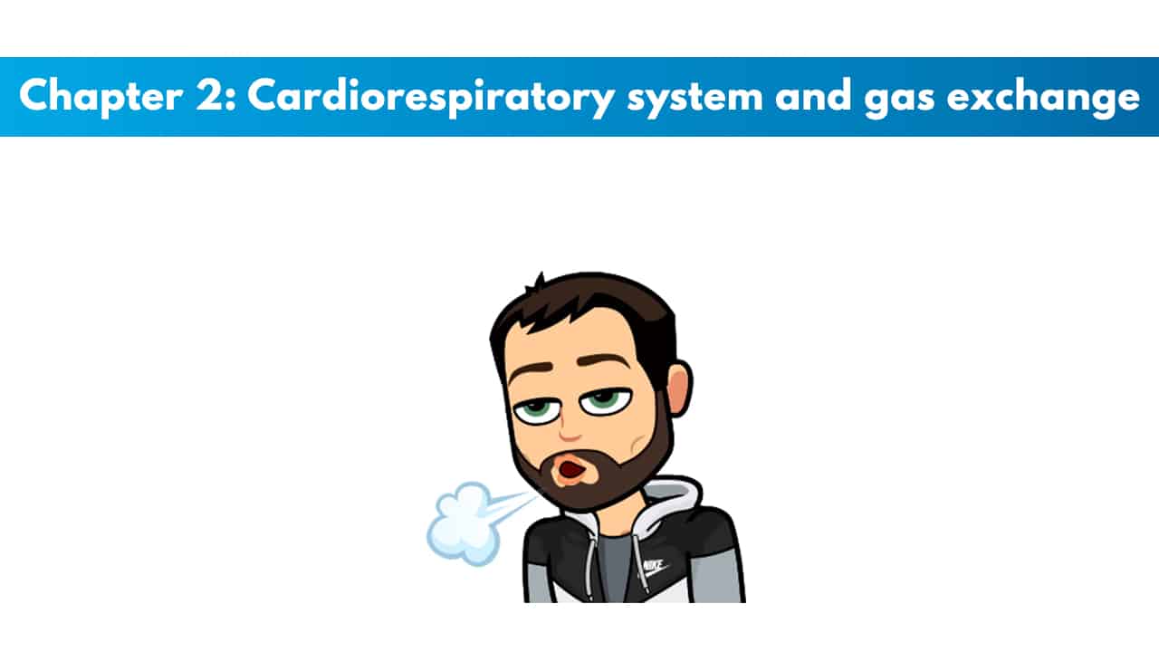 NSCA CPT Chapter 2 - Cardiorespiratory System and Gas Exchange