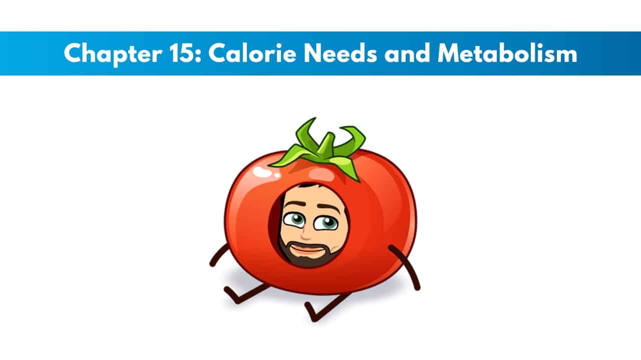 ISSA SN Chapter 15: Calorie Needs and Metabolism