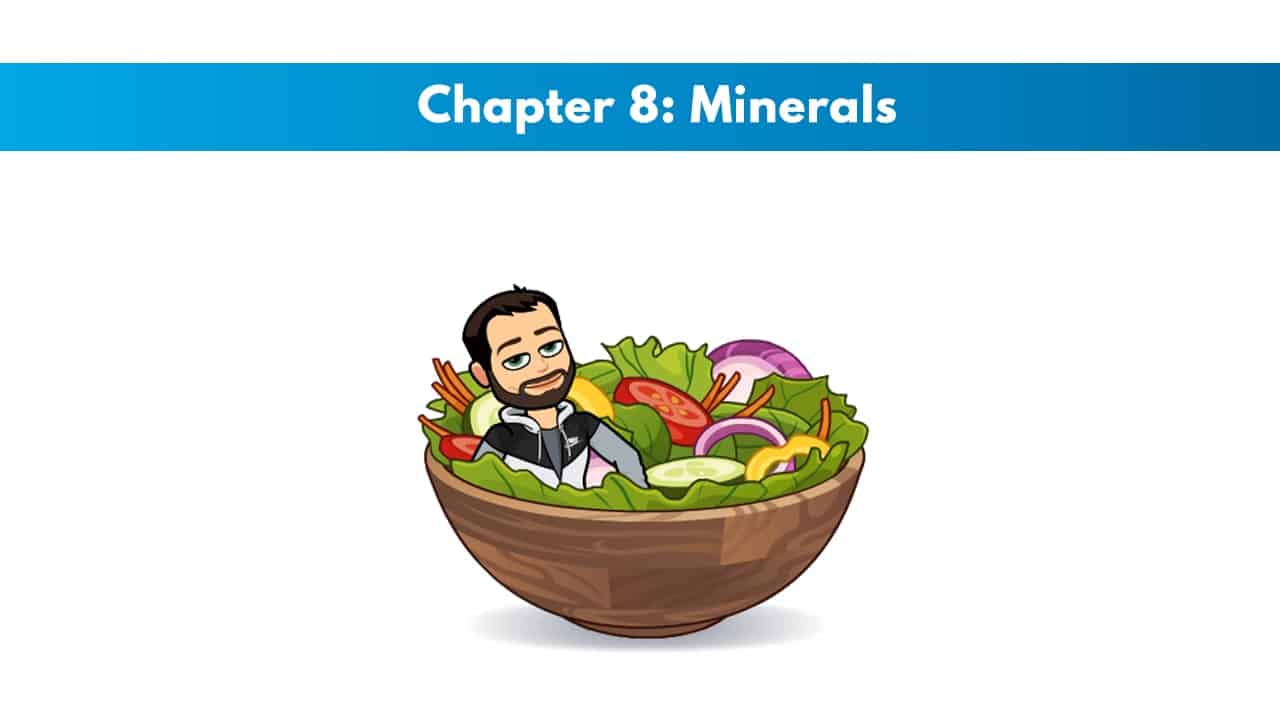 ISSA SN Chapter 8: Minerals