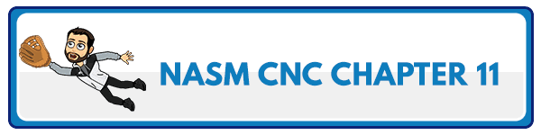 NASM CNC Chapter 12: Nutrient timing 5