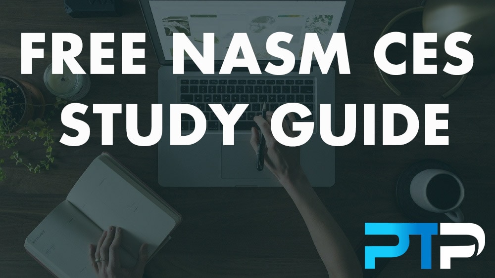 FREE NASM CES Study Guide