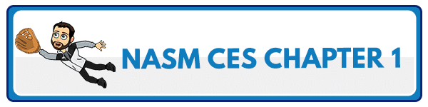 NASM CES Chapter 2: Human Movement Science and Corrective Exercise 7