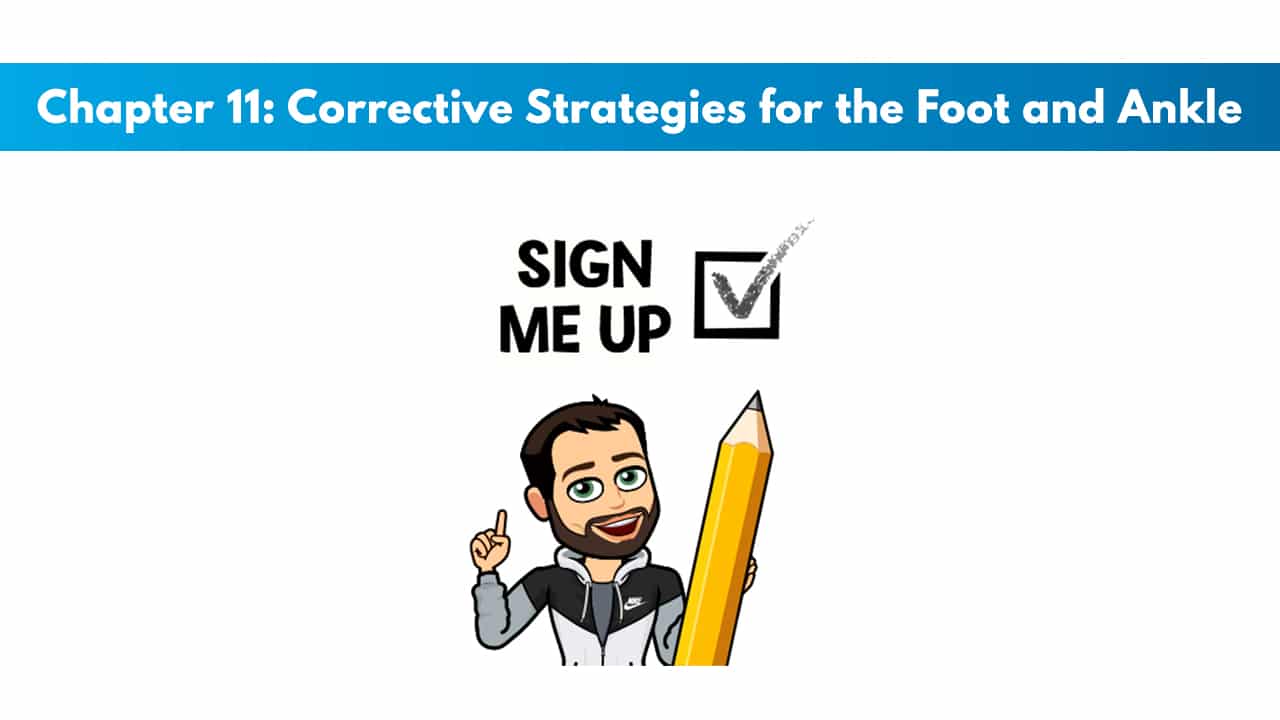 NASM CES Chapter 11: Corrective Strategies for the Foot and Ankle 1