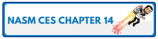 NASM CES Chapter 13: Corrective Strategies for the LPHC 6