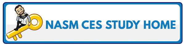 NASM CES Chapter 18: Real-World Application of Corrective Exercise Strategies 6