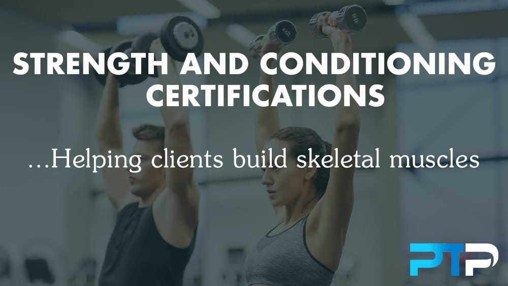 5 Best Strength and Conditioning Certifications (CSCS, PES, SCCC) 30 Helping clients