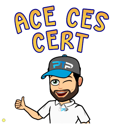 Best Corrective Exercise Training Program (NASM CES vs ACE vs ISSA) 227 ACE CES cert