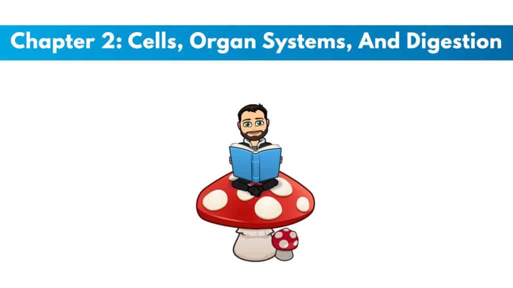 ISSA Nutritionist Chapter 2: Cells, Organ Systems, And Digestion 5