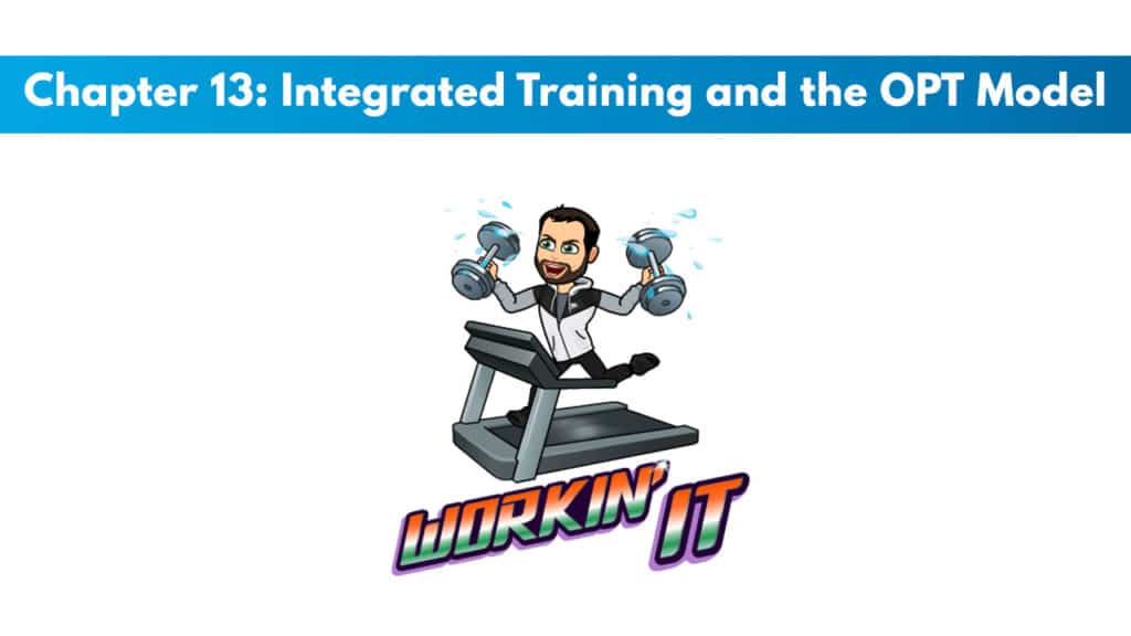 NASM CPT 7th Edition Chapter 13: Integrated Training and the OPT Model 5