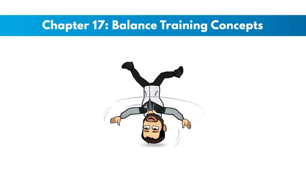 NASM CPT 7th Edition Chapter 17: Balance Training Concepts 5