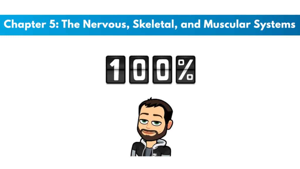 NASM CPT 7th Edition Chapter 5: The Nervous, Skeletal, and Muscular Systems 5