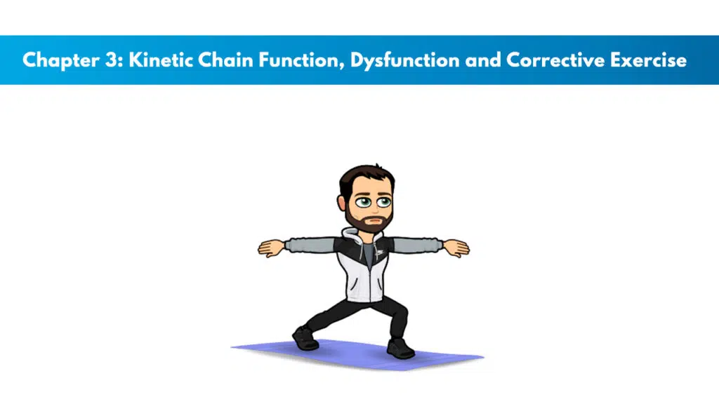 NCSF Personal Training Study Guide Chapter 3 – Kinetic Chain Function, Dysfunction, and Corrective Exercise 5 NCSF Personal Training Study Guide Chapter 3 – Kinetic Chain Function, Dysfunction, and Corrective Exercise 5