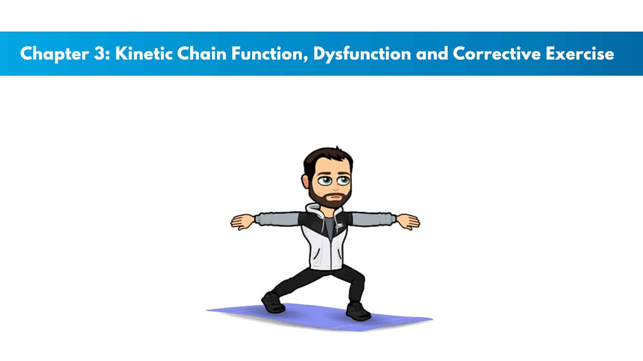 NCSF Personal Training Study Guide Chapter 3 – Kinetic Chain Function, Dysfunction, and Corrective Exercise 9