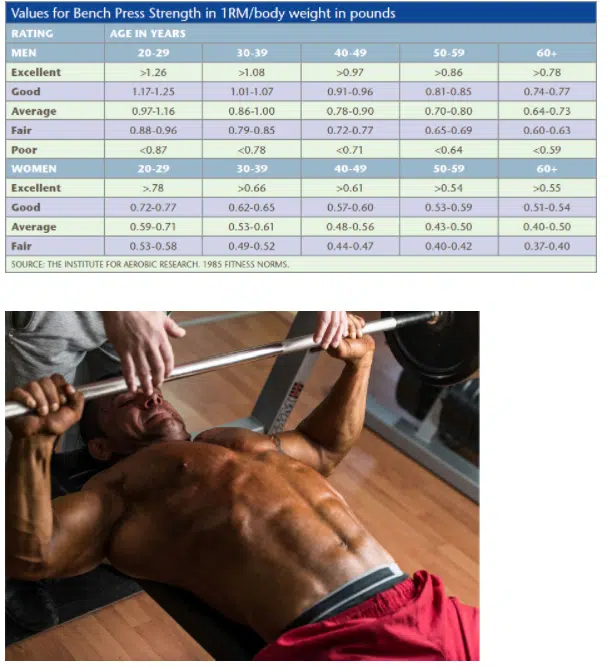 NCCPT Review (2023) - Is the NCCPT Legit? 8 NCCPT certification review - bench press 1RM chart