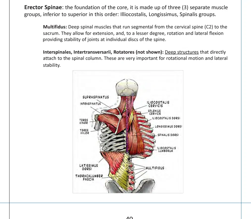 NFPT CPT Review of [year] - Is NFPT a legit cert? 4