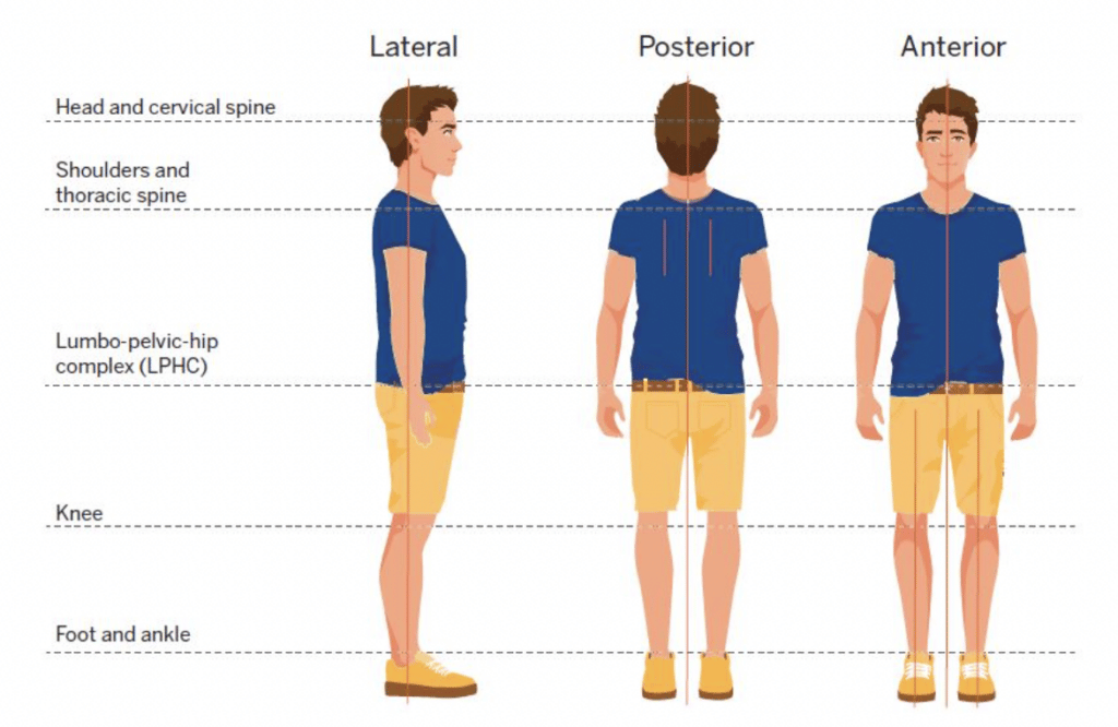 Image from the NASM CES textbook showing kinetic chain checkpoints in lateral, posterior, and anterior plane view