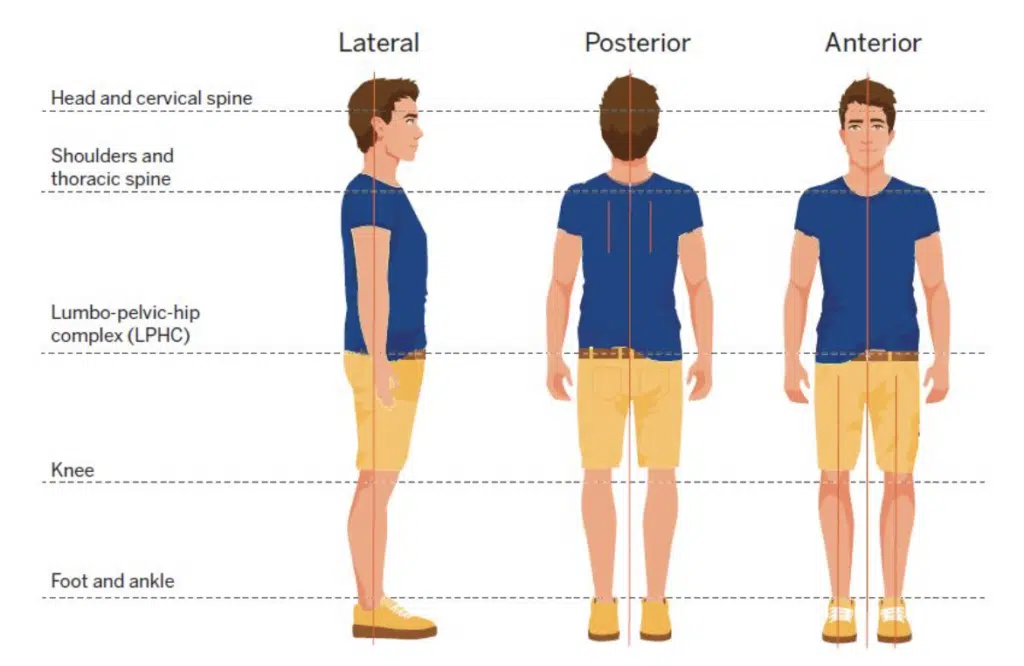 Image from the NASM CES textbook showing kinetic chain checkpoints in lateral, posterior, and anterior plane view