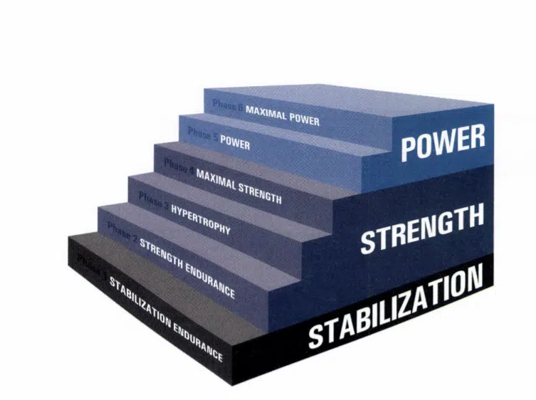 NASM Certification Review 2023 - Is NASM Legit? 52 NASM certification review - NASM OPT model