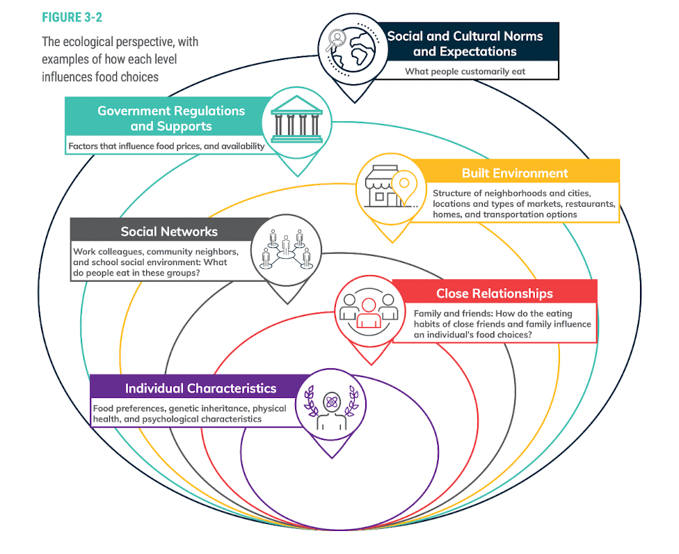 ACE Health Coach Review ([year]) - Build Great Habits! 14