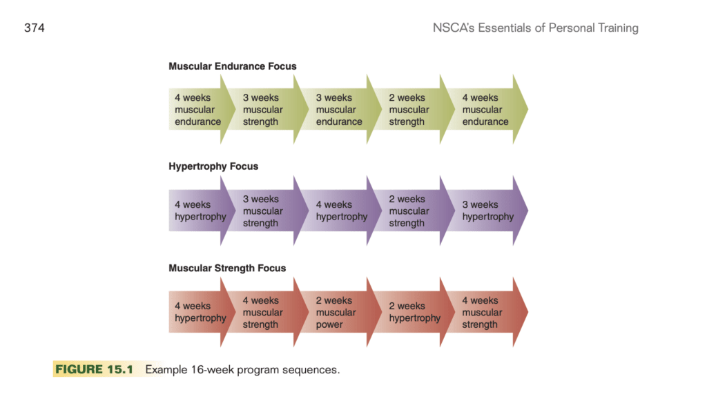 NSCA protocol periodization for different goals