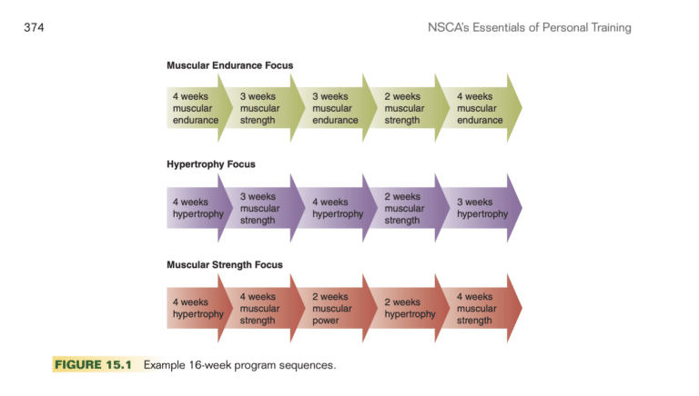 ISSA vs NSCA: CPT Certification Comparison