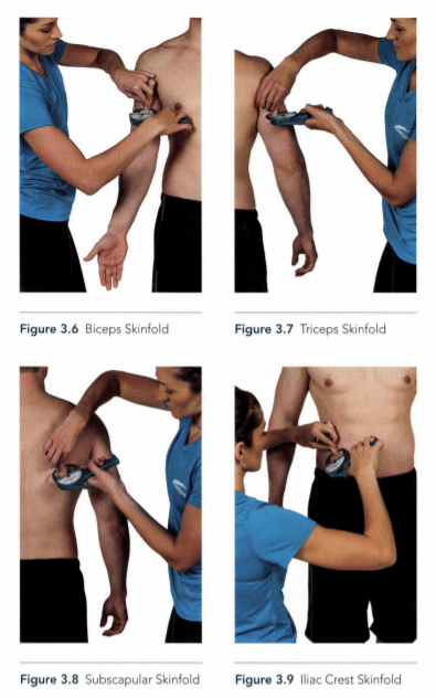 Image from NASM PES textbook - shows skin fold testing sites