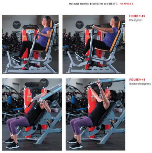 ace personal trainer certification technique diagram for the chest press