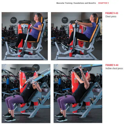 ace personal trainer certification technique diagram for the chest press